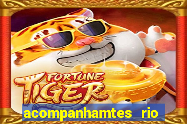 acompanhamtes rio de janeiro